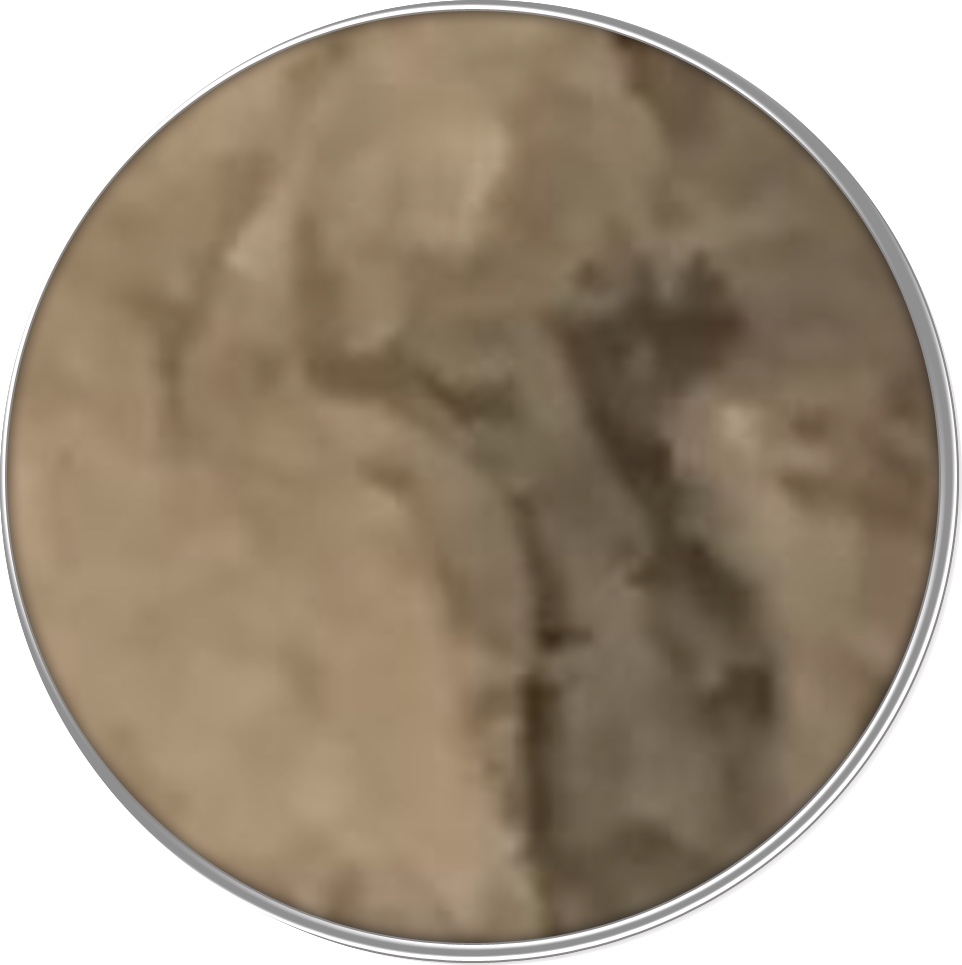 2006-D-Roosevelt-Dime---Shadow-Of-Profile-To-Left-On-Obverse